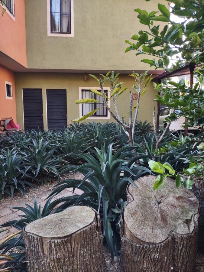 Hotel Tu Casa Oaxaca... Exterior foto